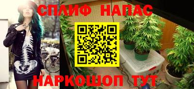 гашишное масло Гатчина