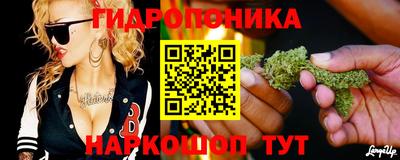 spice Гагарин
